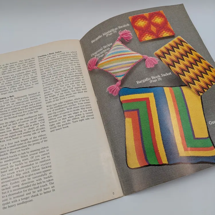 Vintage Beginner's Needlepoint Book