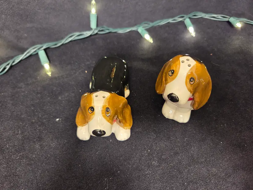 Pioneer Woman Carlie & Walter salt & pepper shakers