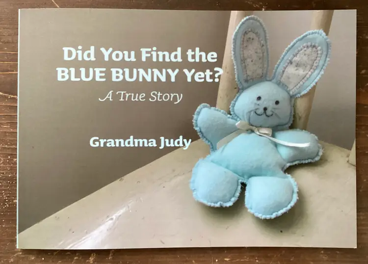 Did You Find the Blue Bunny Yet? Children’s book