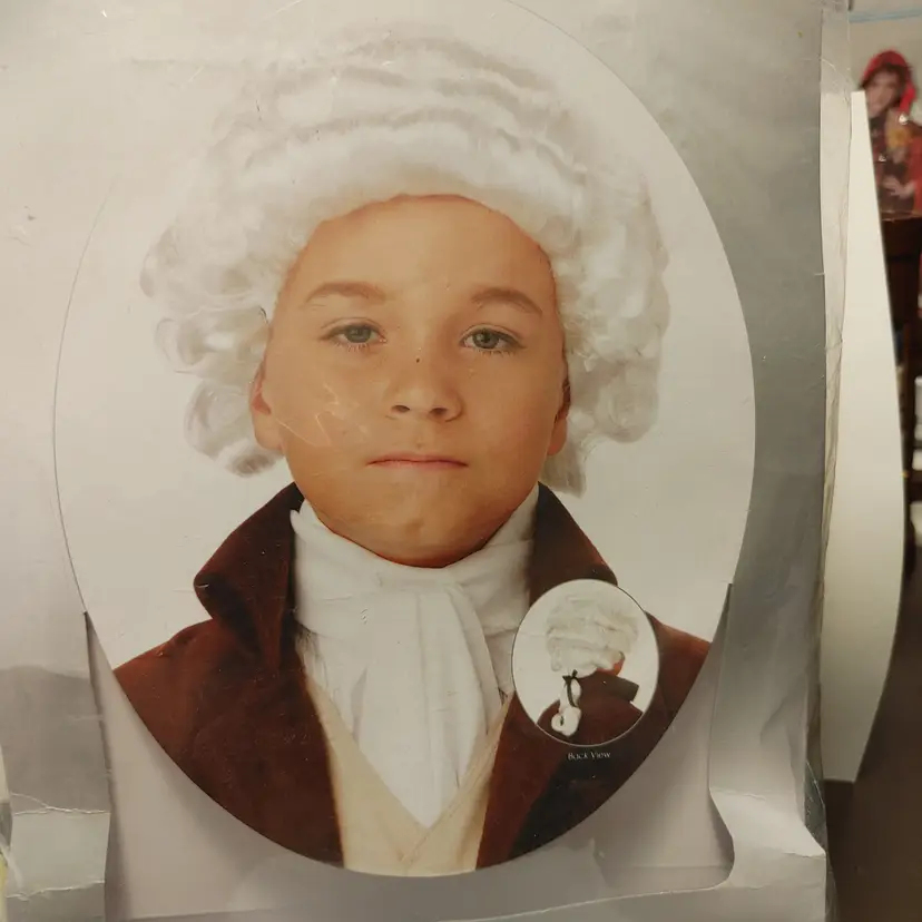 Child Costume- Colonial Wig. New in bag.