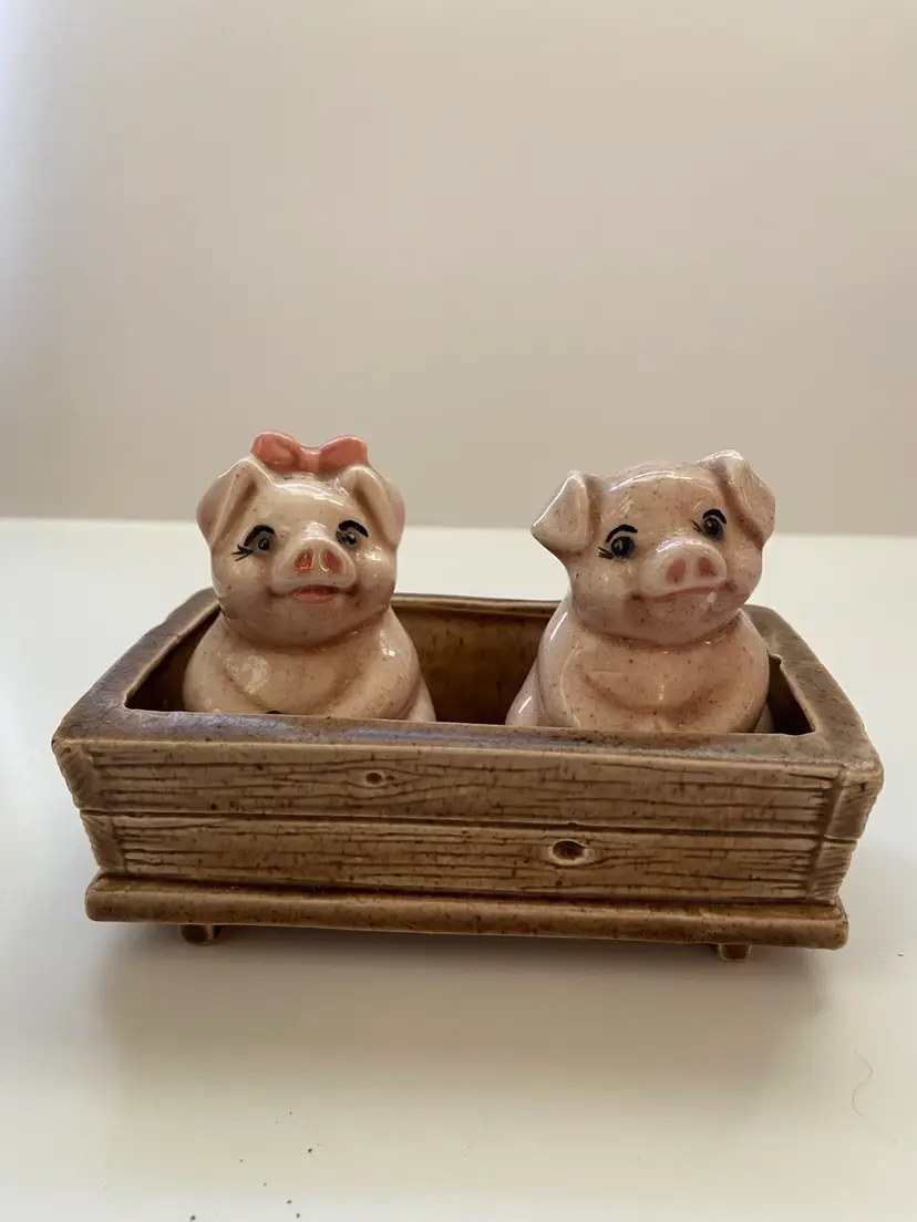 Two Piggies In A Trough, S & P Shaker Set 