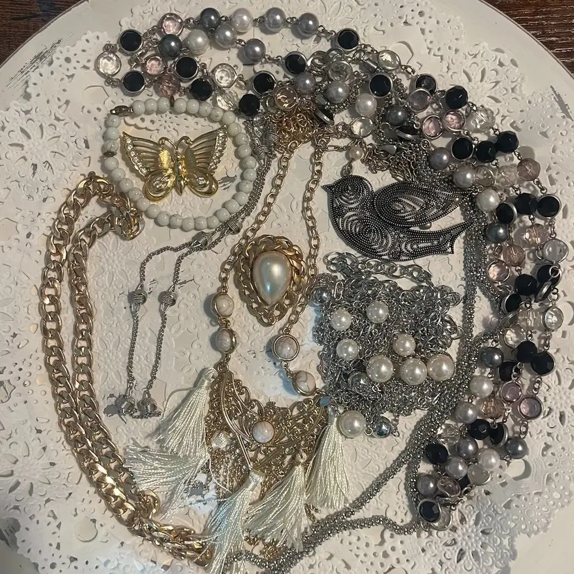 Dusty Miller - Spring Flower Garden CLEARANCE LOTS 🌺🌼🌹