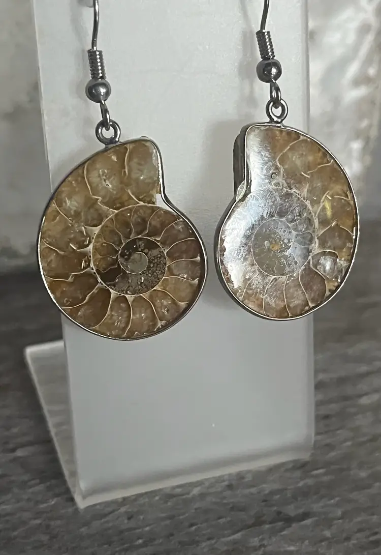 Ammonite Fossil Silver Metal Wire Earrings