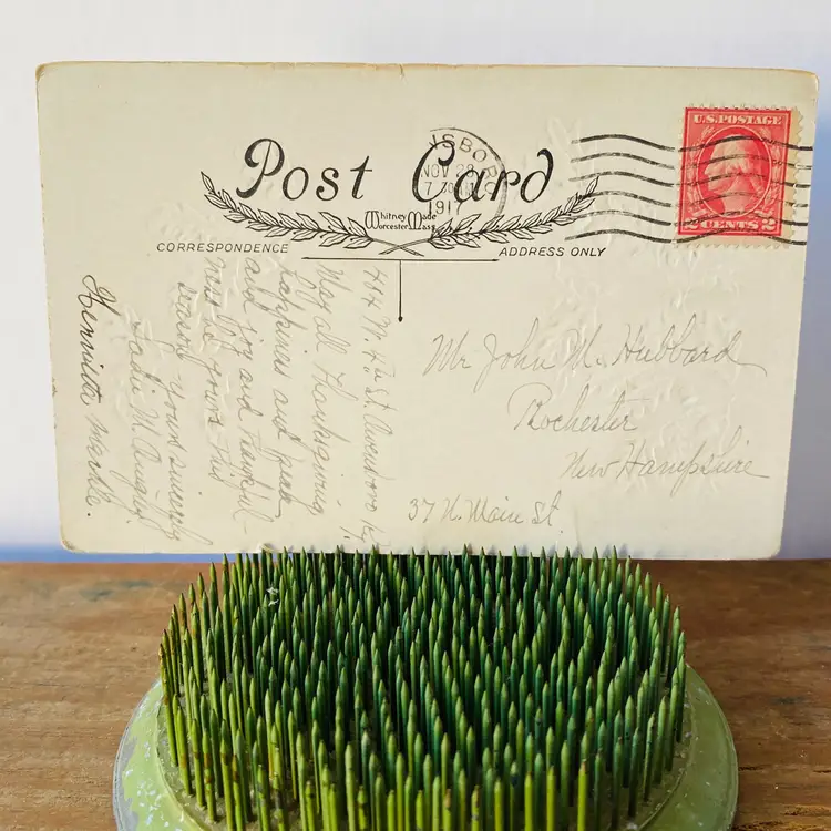 Antique Thanksgiving Greetings Postcard