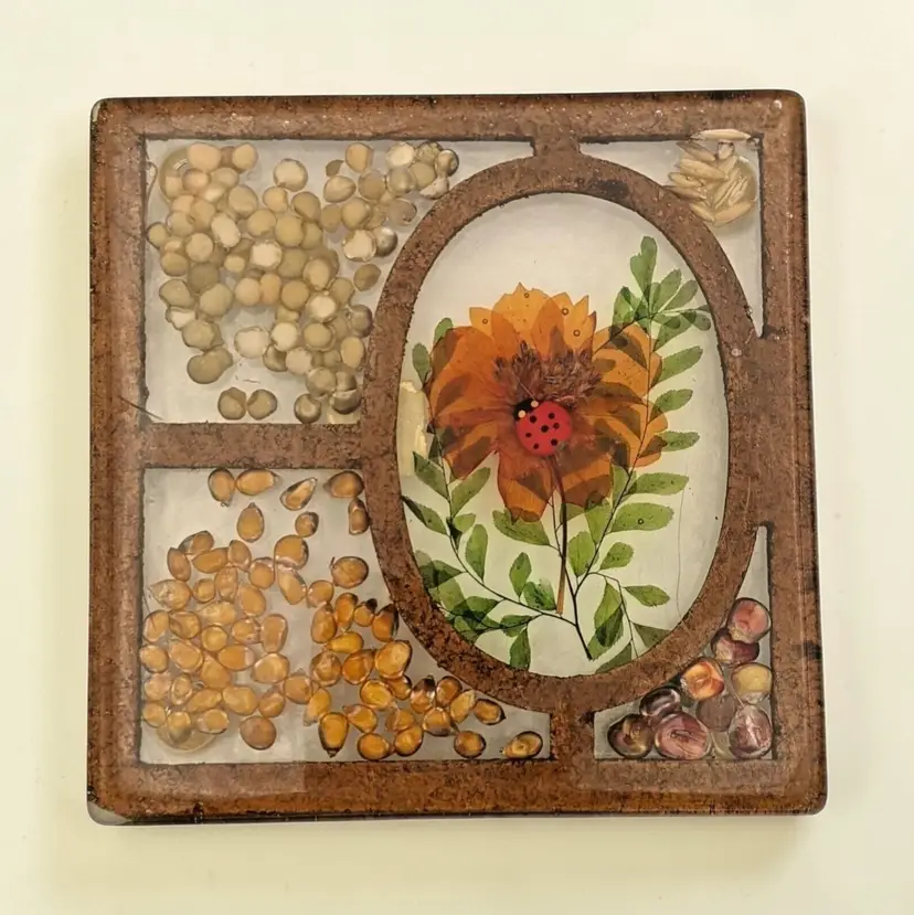 Vtg 1970s Lucite Acrylic Resin Orange Flower Ladybug Seeds Trivet Design Gifts