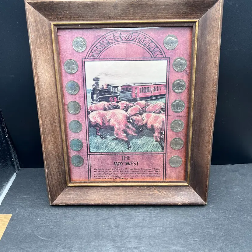 #155B Vintage 1970’s The Way West Framed Buffalo Nickle Collection Of 14 Coins
