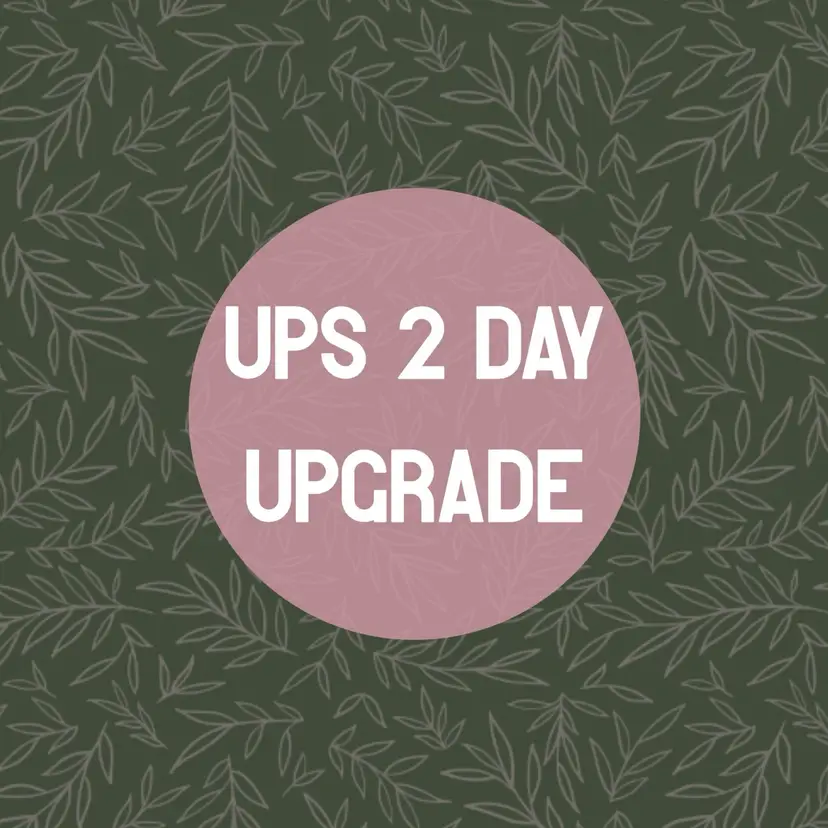 UPS 2 day upgrade - $10