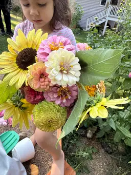 Ziec Heirloom Zinnia Seeds