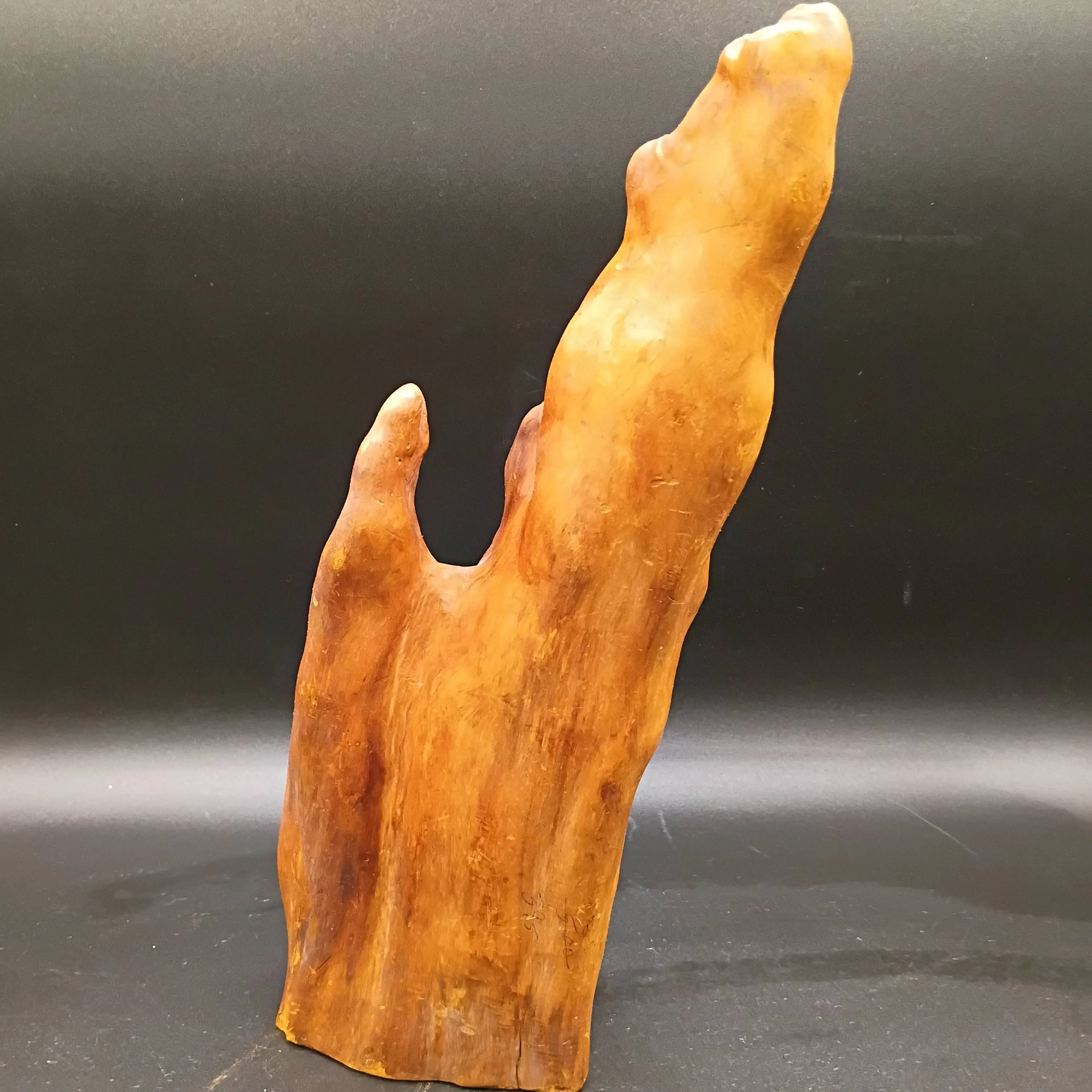 Mid Century Modern Cypress Natural Wood Knee Sculpture 2 Peaks possible Lamp Base