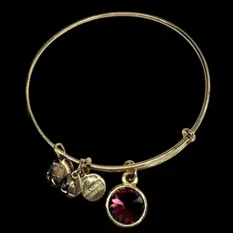 ALEX & ANI February Birthstone Charm Bangle Bracelet. Adjustable. Amethyst-color Crystal with Gold-tone Metal.