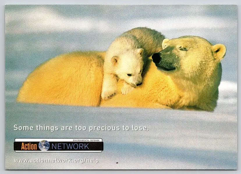 Postcard Action Network Polar Bear and Cub Arctic National Wildlife Refuge Environmental Defense, Climate Change - 14510