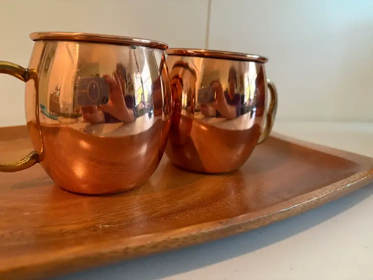 Magpie Int Stainless Steel Copper Plated Mug Cup Double Wall Coffee Made n India