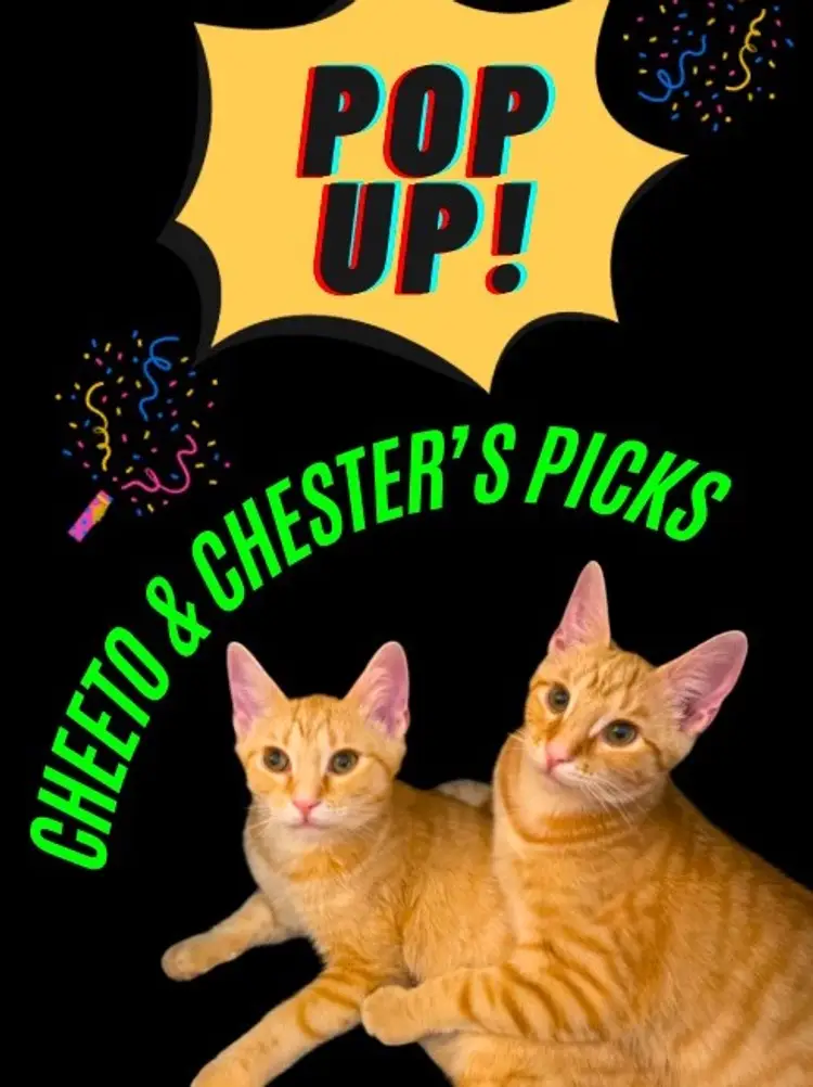 Cheeto & Chester Have Picked Minis W/pinkinpete&tracy On Niknax.net