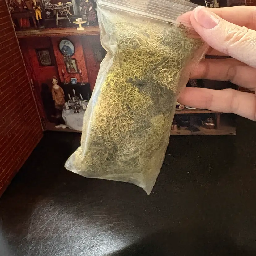 Moss