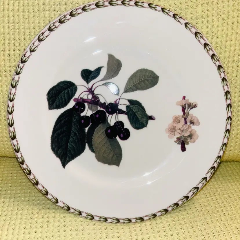 Vintage Hooker’s Fruit Bone China Dessert Plate By Rosina-Queens Made In India