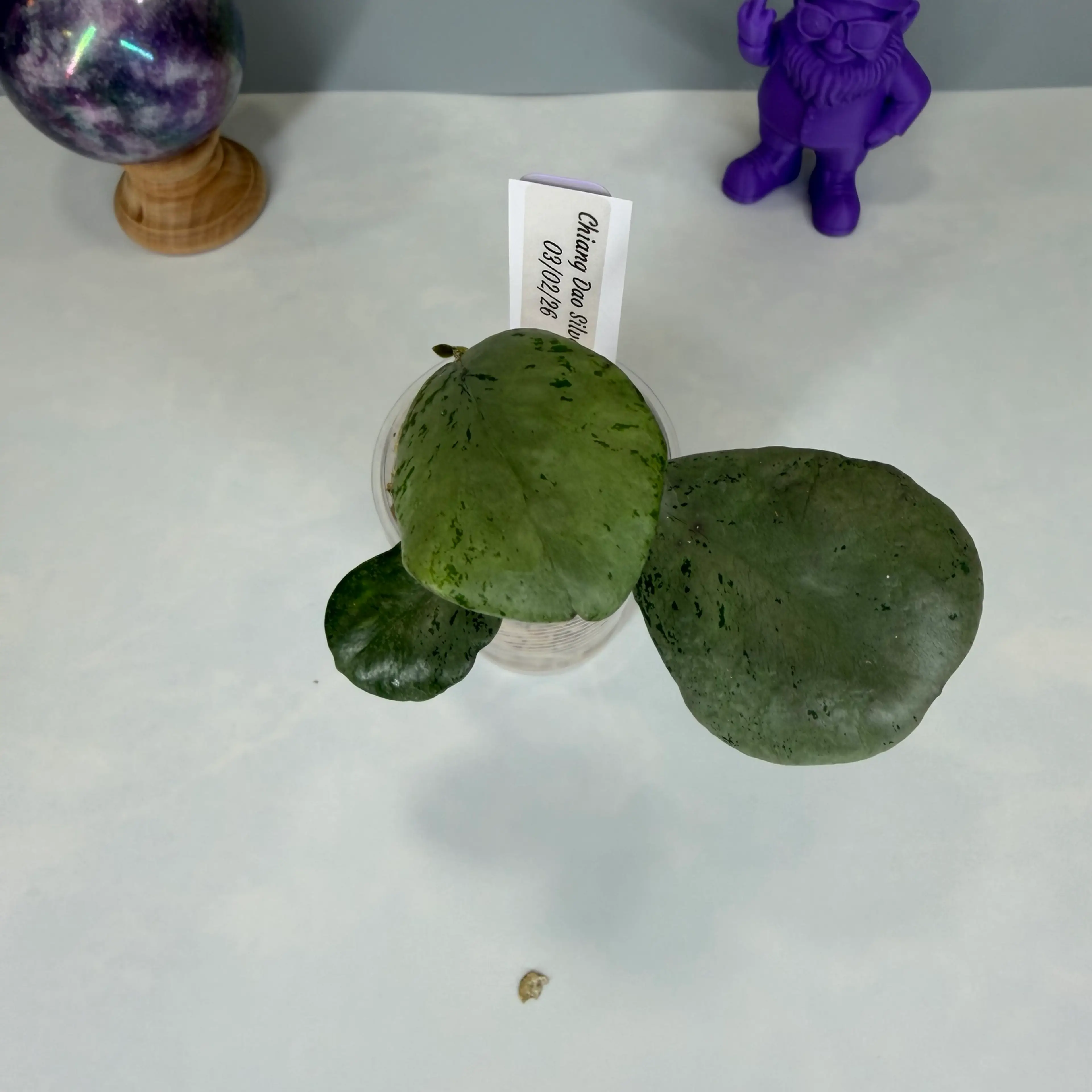 Image 2 of 3