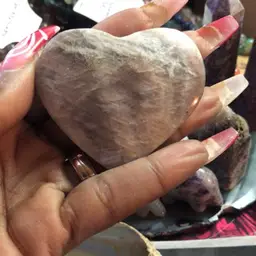 #28 - Sunday with the Peacock!!