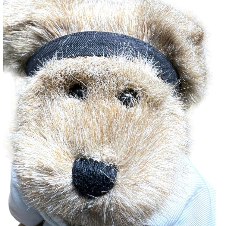 Boyd Bear In Cute Blackbelt Karate 🥋 Outfit. 10-1/2” tall.