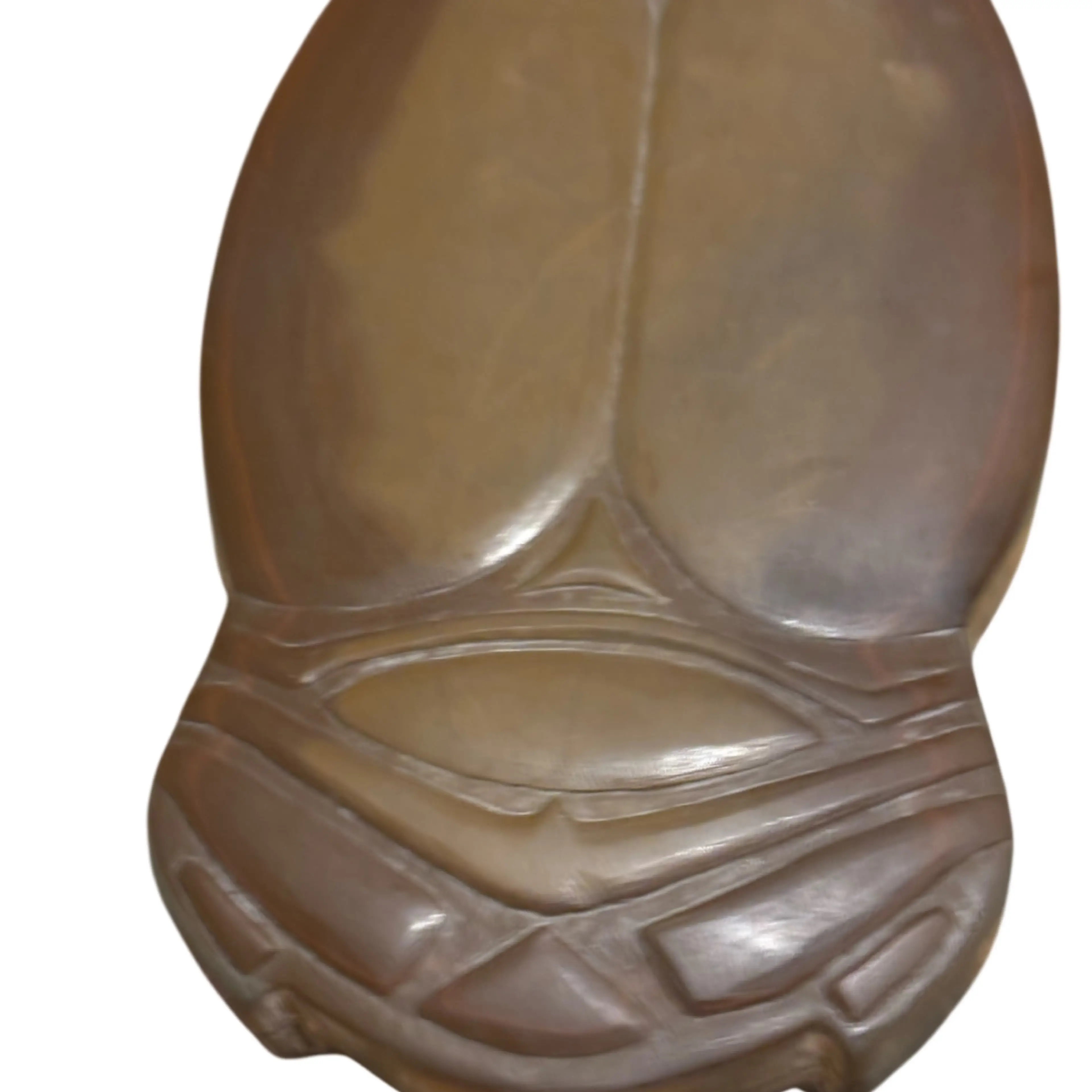 Image 3 of 5
