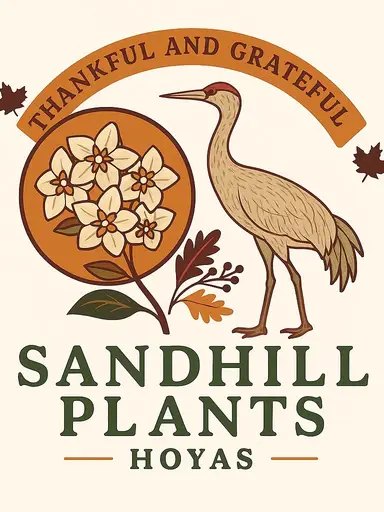 Mamajo & Madina 🫶🏼🎉🔥