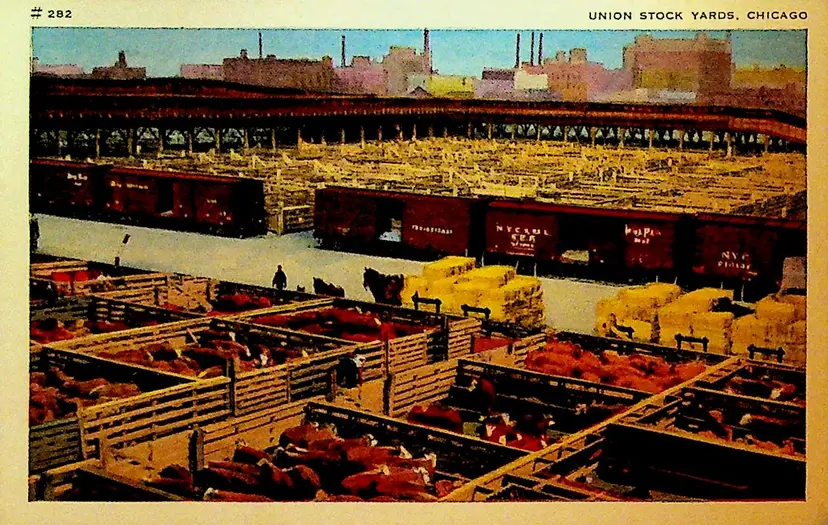 Union Stock Yards Chicago Illinois Unused Postcard