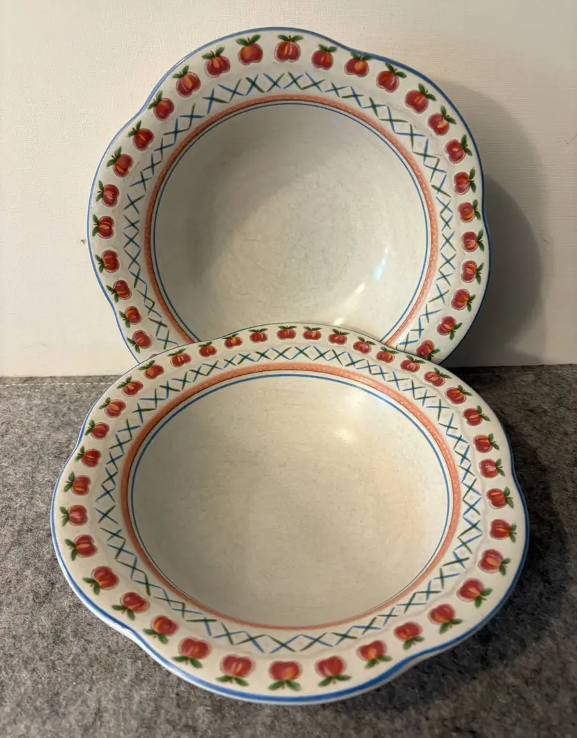 2 Mikasa Country Charm 8.5" Bowls #2976