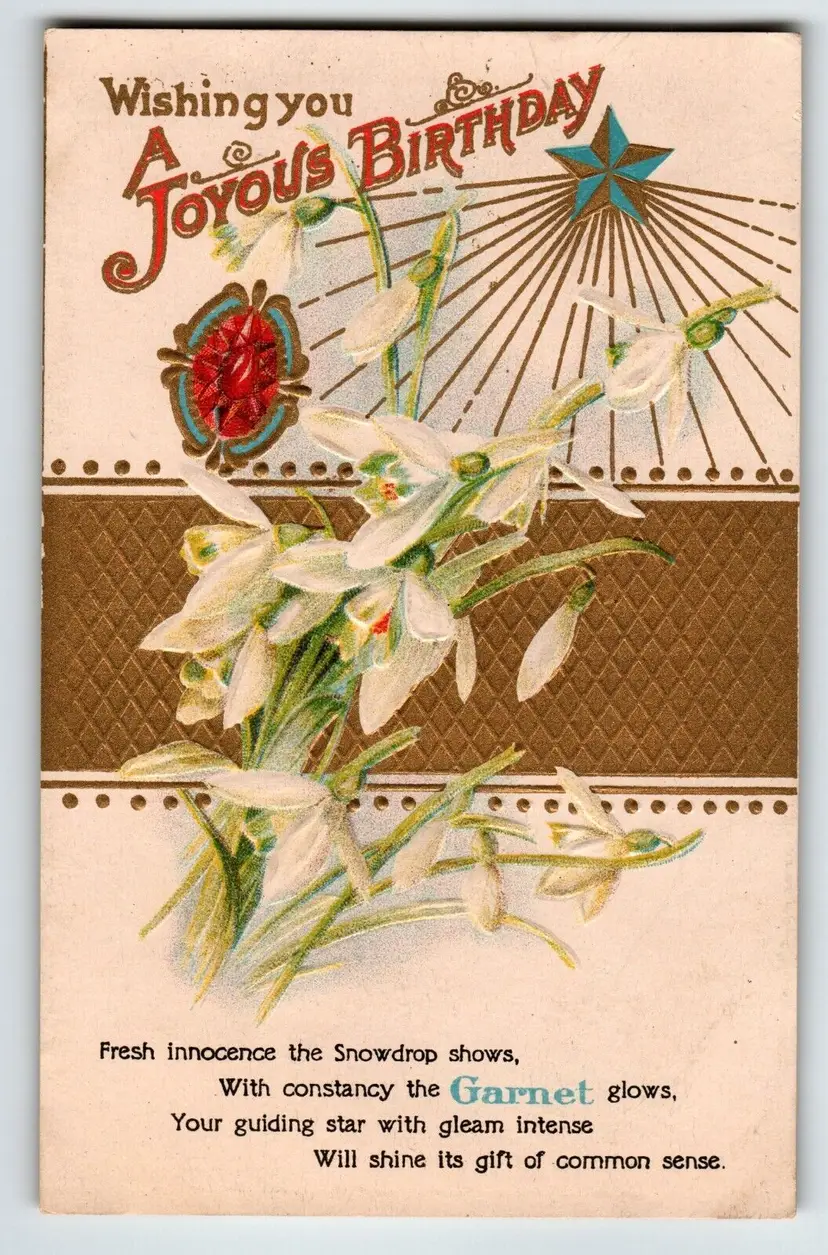 Birthday Postcard Birthstone Garnet Jewel Snowdrop Flowers January Fortune