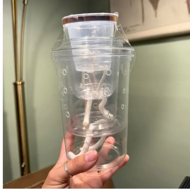 4 Pack Of Self-watering Pots