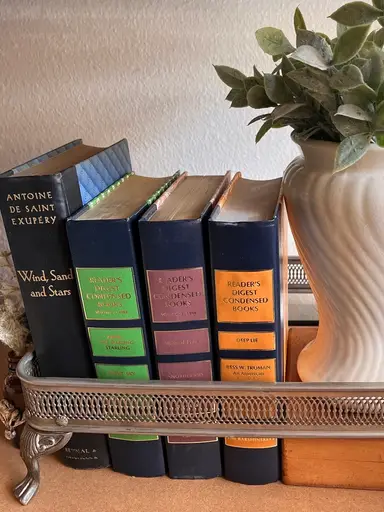 Brindy And Mandi Book Show