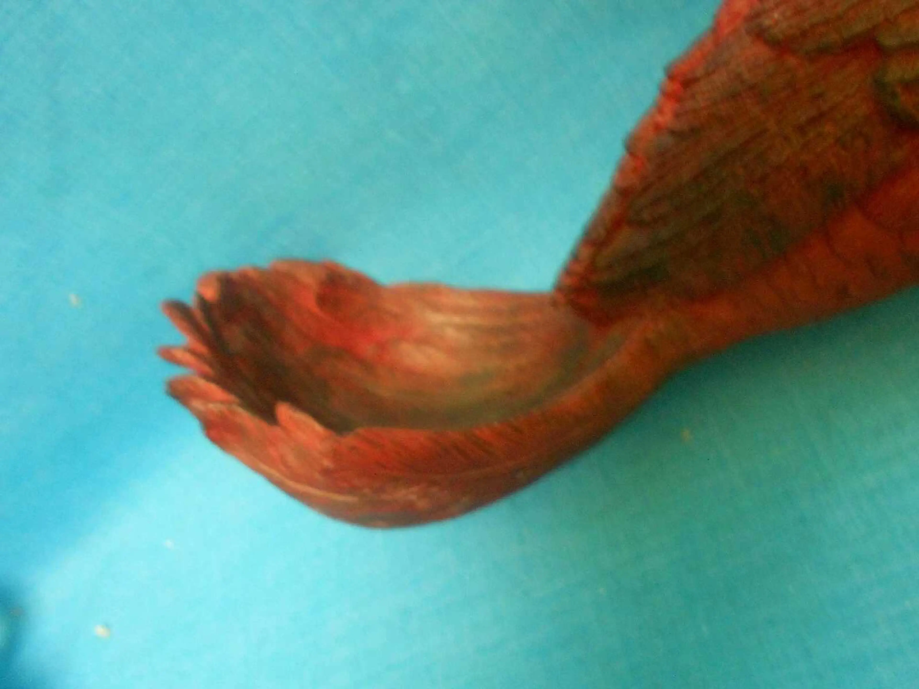 Image 4 of 9