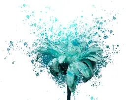 Blue Flower Framed Photo