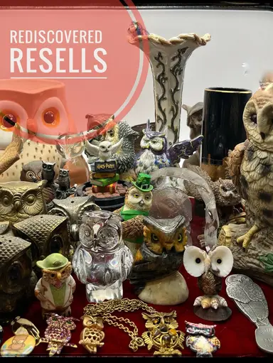 We Are Feeling OWL Right! All Things Owls! 