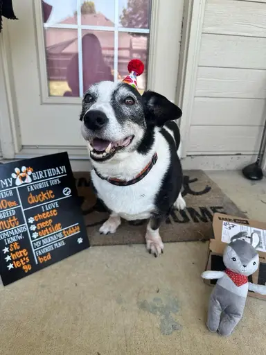 Randi’s Early Birthday Sale