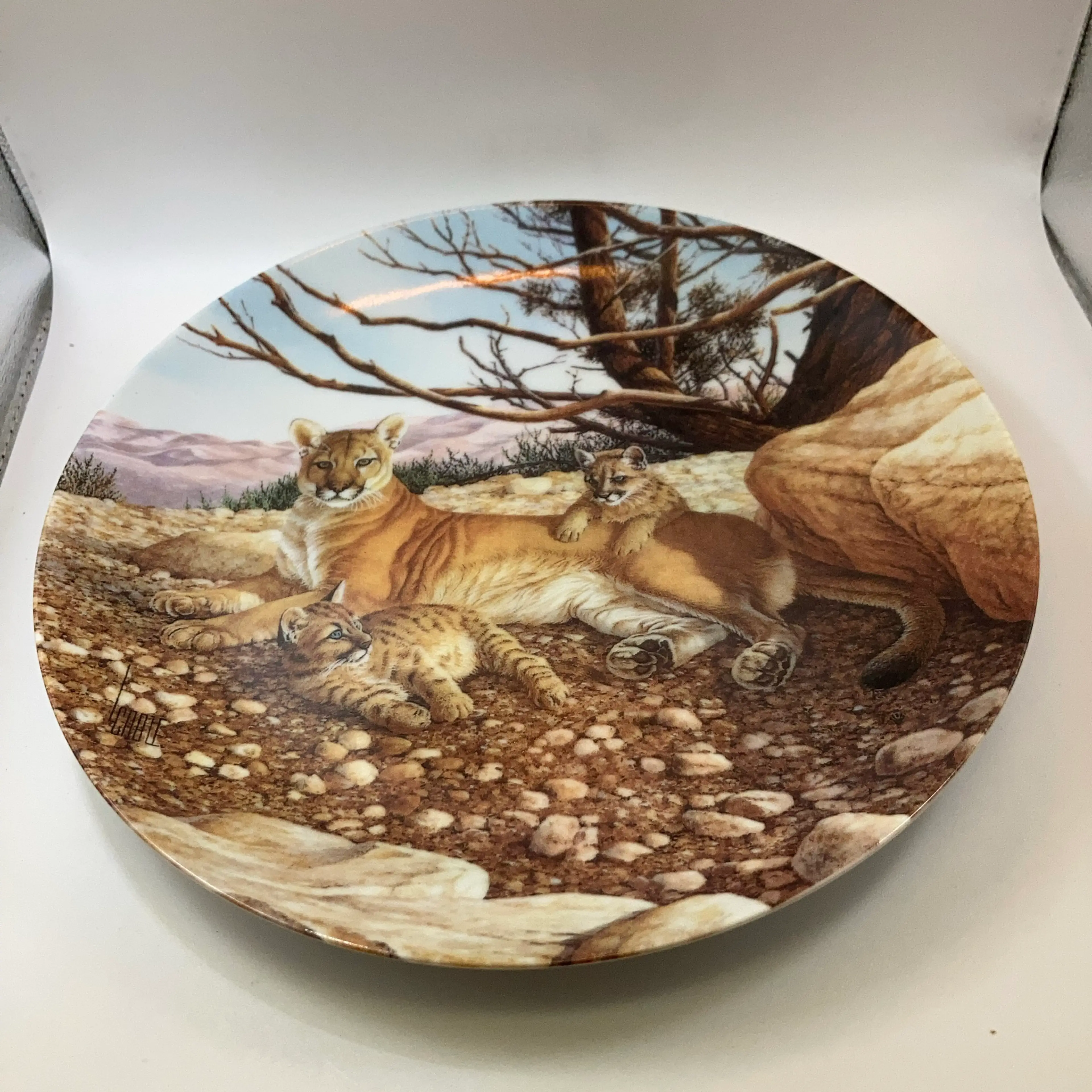Image 3 of 11