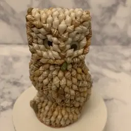 Weird Shell Art Owl with Peeking Strange Eyes