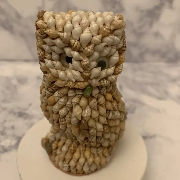 Weird Shell Art Owl with Peeking Strange Eyes