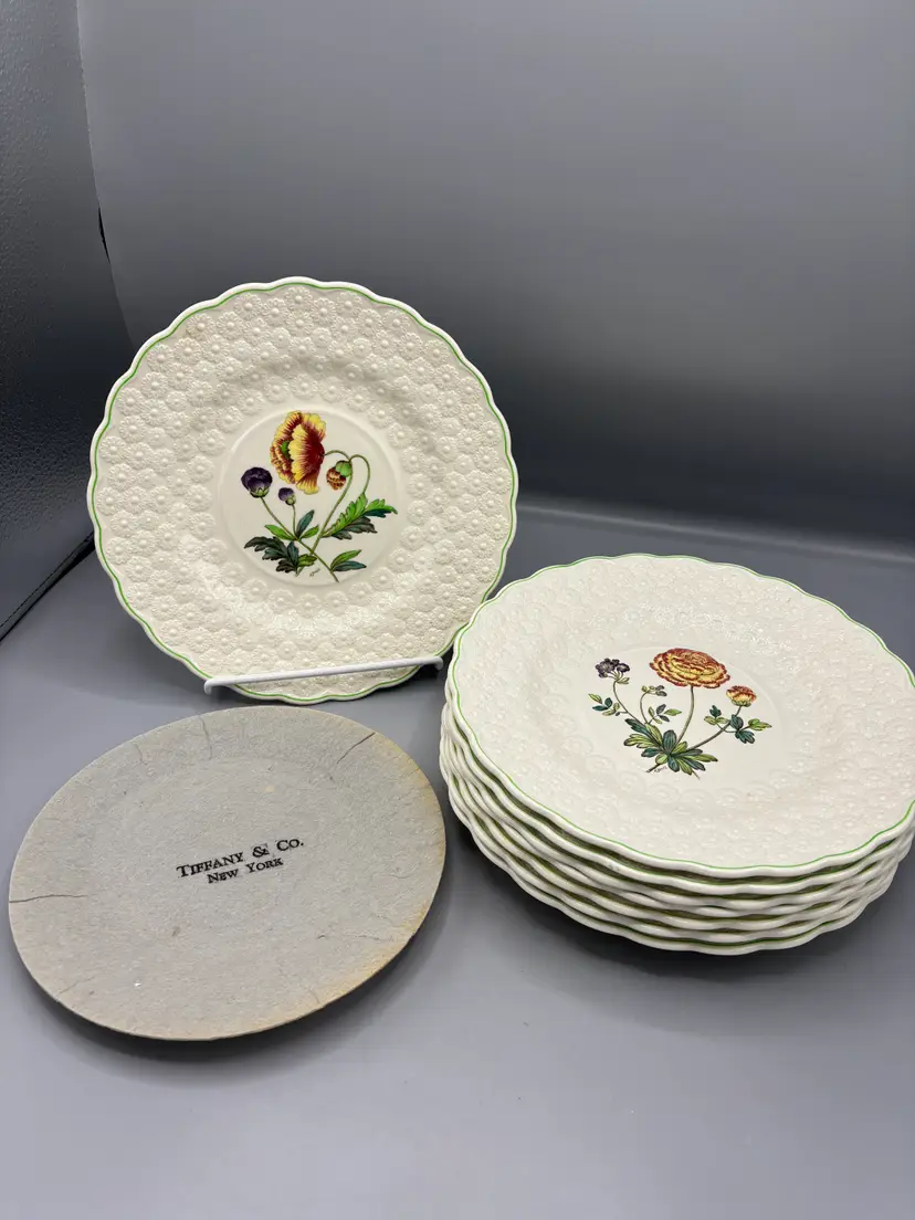 Set 8 Vintage Spode Copeland porcelain plates with varied Bermuda flowers