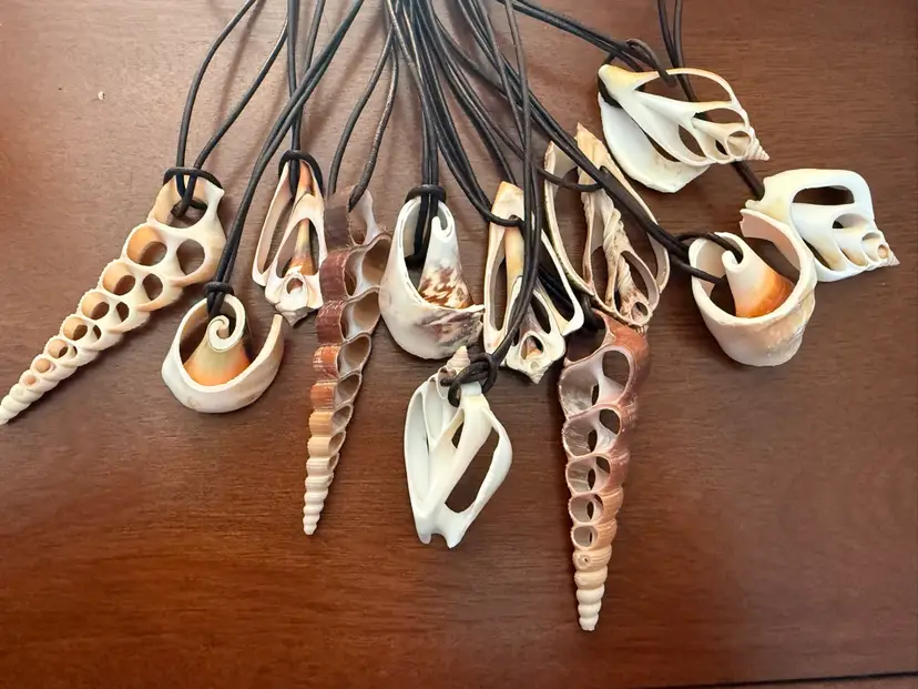 Natural Shell Necklaces On Brown Leather Cord 12 Pc Lot