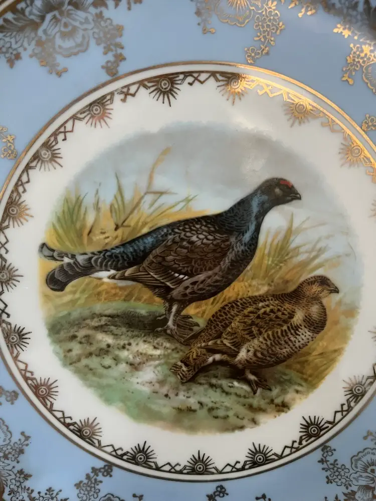 Rare Vintage Crown E Bavaria West Germany Collectible Birds Plate
