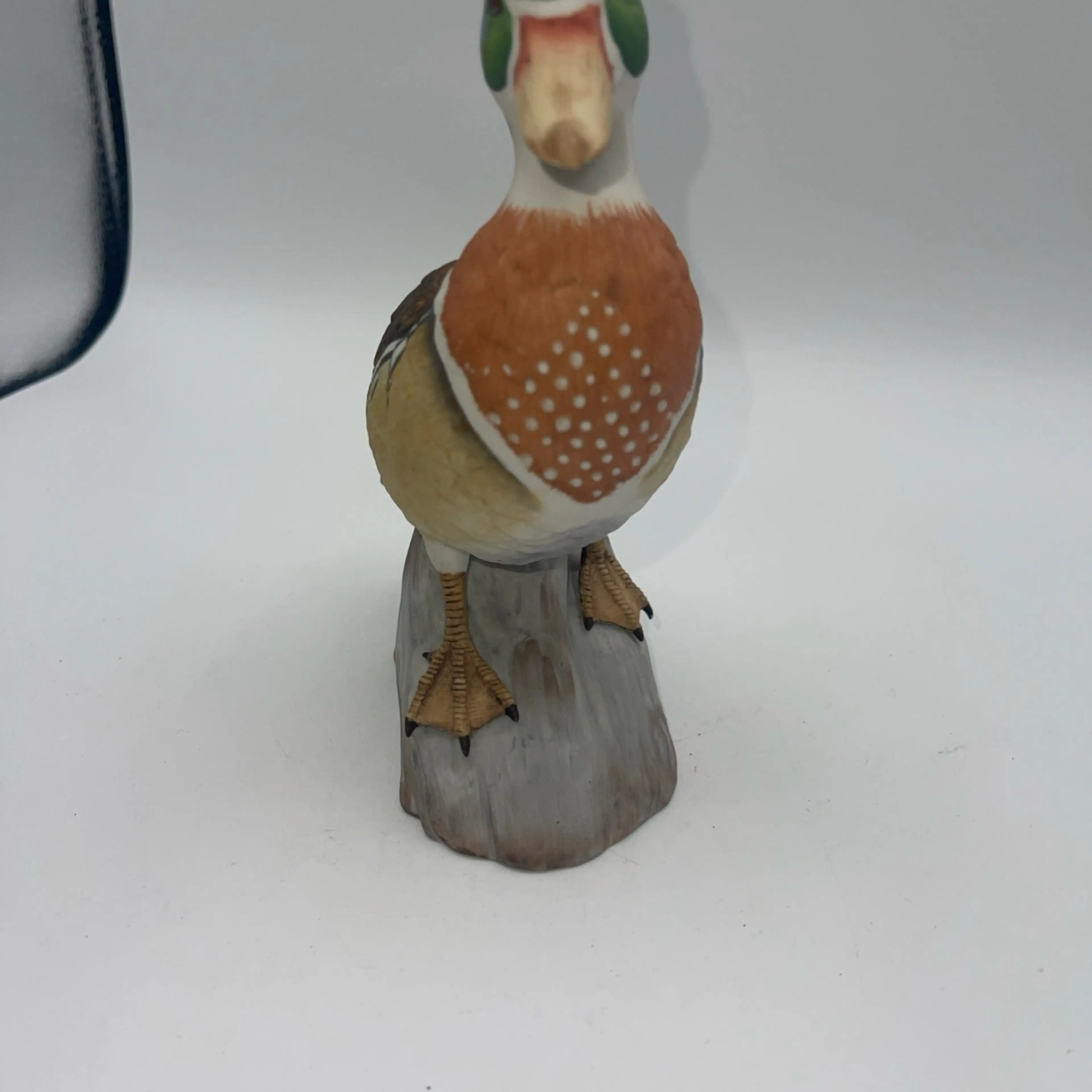 Image 3 of 8