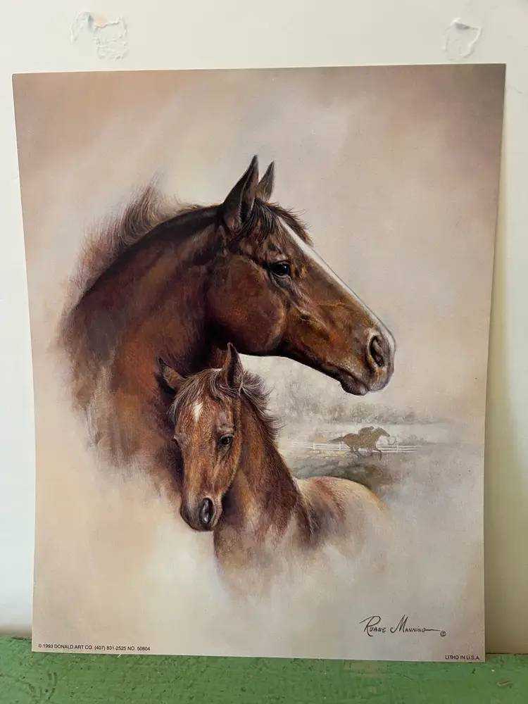 1993 Arabian Horse & Foal Ruane Manning Lithograph Western Art Print Donald Art Company.