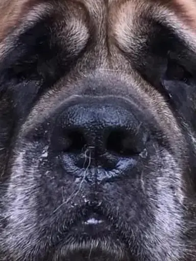 Vintage Variety! Come Check It Out! Deals On Everything !!💕🥰