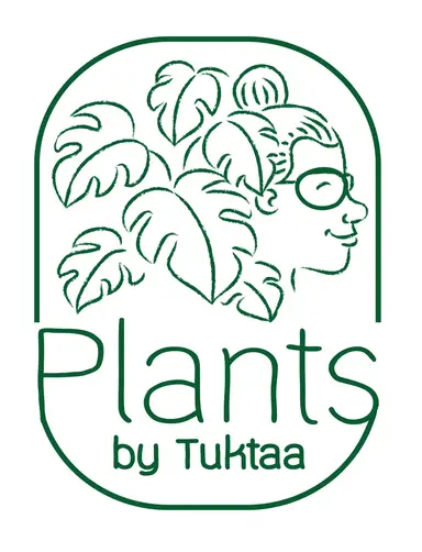 Plants by Tuktaa