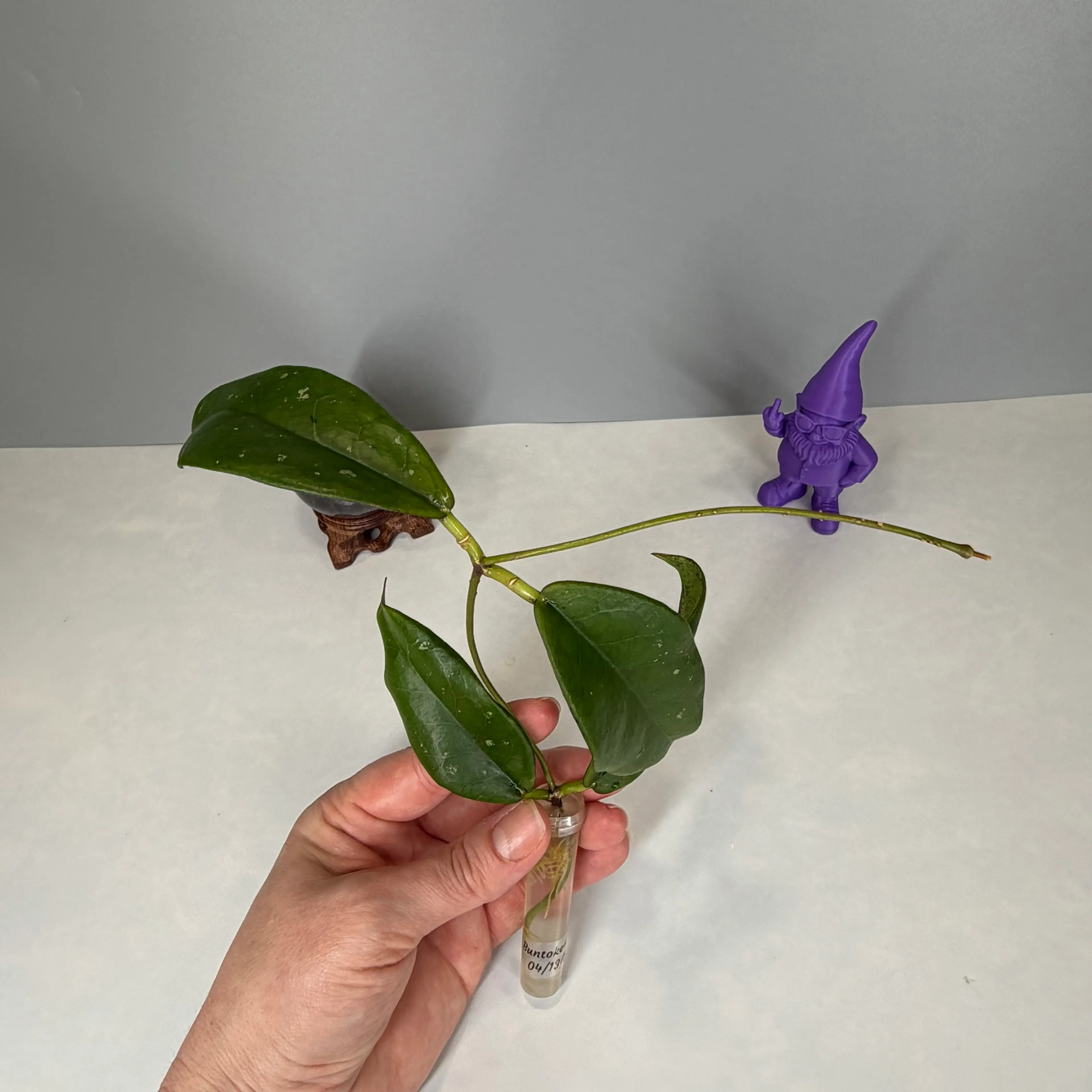 Image 2 of 6