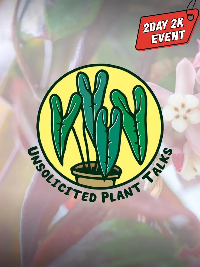 Livestream thumbnail