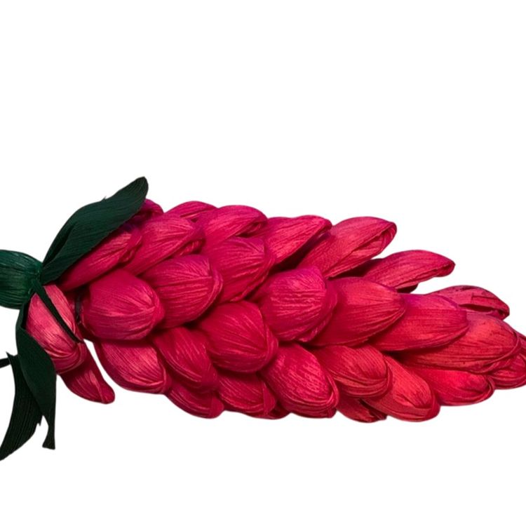 # 037  Handcrafted Fuchsia Color Corn Husk🌻 Ginger 🫚 Flowers 6” Blossom Approximately 10” Long
