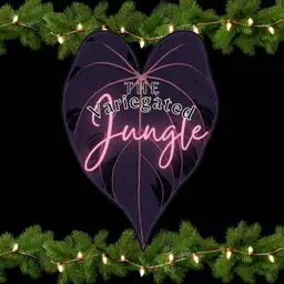 the_variegatedjungle