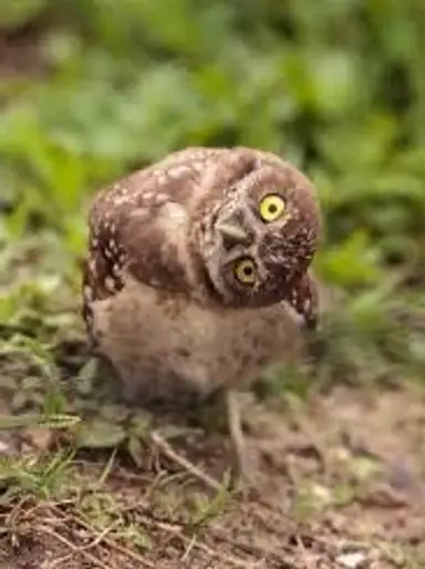 Wednesdays Are Weird Sometimes