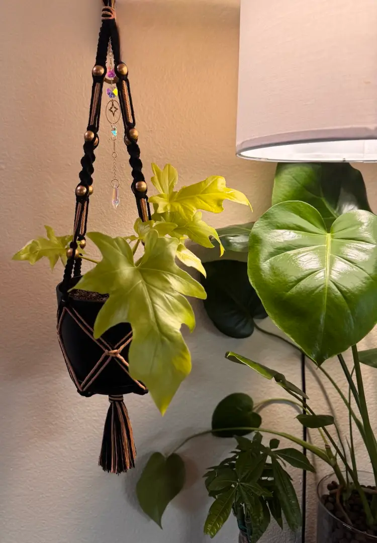 Handmade Macrame Plant Hanger With Sun Catcher