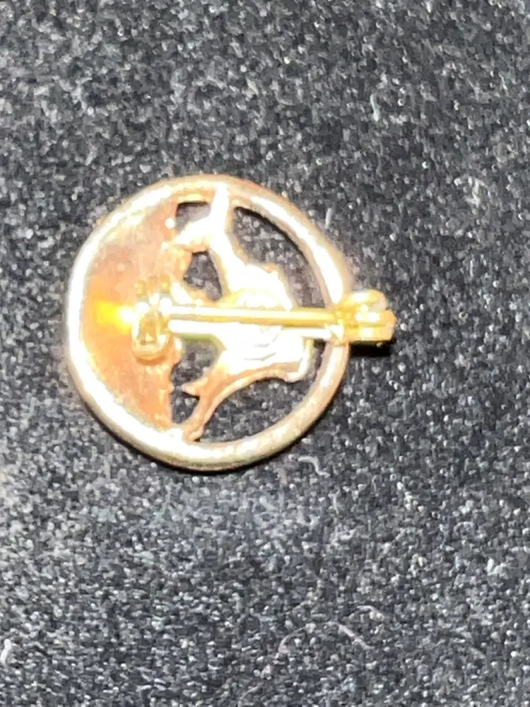 Sword Fish, Round Gold Tone Pin 1/2”